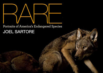 Portraits of America’s Endangered Species
